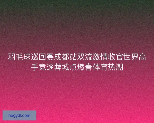 羽毛球巡回赛成都站双流激情收官世界高手竞逐蓉城点燃春体育热潮