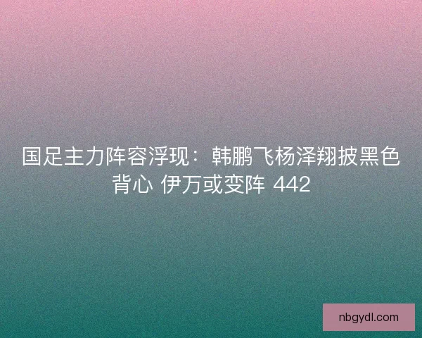国足主力阵容浮现：韩鹏飞杨泽翔披黑色背心 伊万或变阵 442