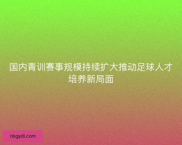 国内青训赛事规模持续扩大推动足球人才培养新局面